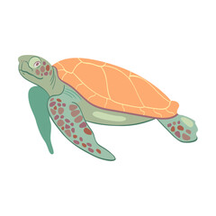 Various marine animals flat icon. Cartoon cute turtle, octopus and shark isolated vector illustration. Sea or ocean underwater life