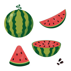Watermelon in flat style. Whole, cut and sliced watermelon. Healthy Eating