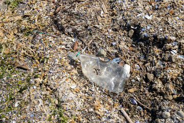 image of plastic waste thrown on the beach