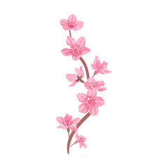 Naklejka na ściany i meble Sakura blossom. Pink flowers petals, cherry or peach tree branches with leaves. Flat vector illustrations for spring in Asia, nature, blooming