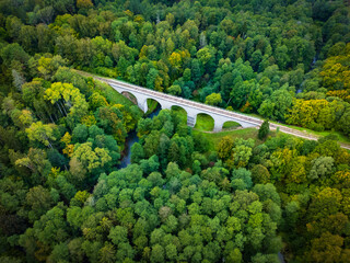 Fototapeta premium River flowing under bridge in forest