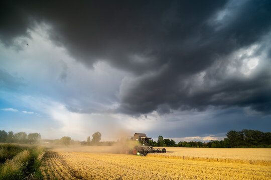 Burza i żniwa