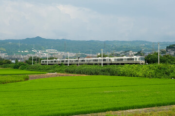 王寺付近を走る関西本線の快速列車