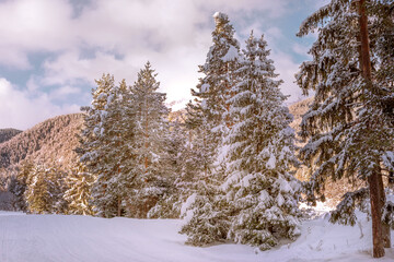 Ski resort Bansko, Bulgaria, groomed ski road