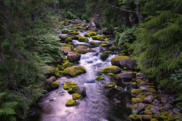 Beautiful creek in Fulufjallet National Park in Dalarna, Sweden. Popular tourist destination for hiking. © PhotosbyPatrick