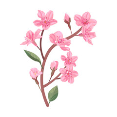 Flowers petals, cherry or peach tree branches with leaves. Flat vector illustrations for spring in Asia, nature, blooming. Sakura blossom