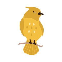 Vector Colorful Illustration of Cute Bird Isolated on White Background