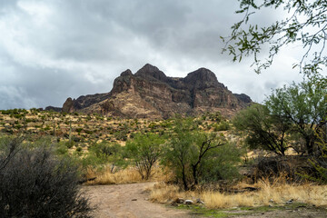 An overlooking view of Tonto National Forest, Arizona