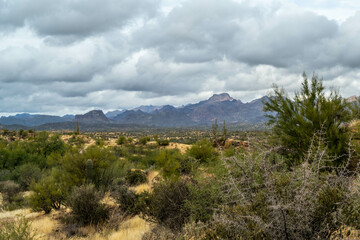 Fototapeta na wymiar An overlooking view of Tonto National Forest, Arizona