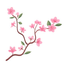 Pink flowers petals, cherry or peach tree branches with leaves. Flat vector illustrations for spring in Asia, nature, blooming. Sakura blossom