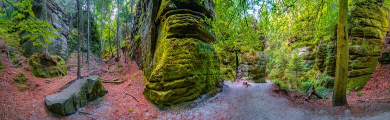 Panoramic over magical enchanted fairytale forest with fern, moss, lichen and sandstone rocks at...