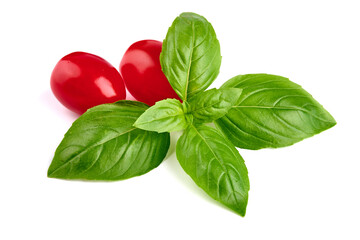 Sweet basil herb leaves, close-up, isolated on white background. Sweet Genovese basil.