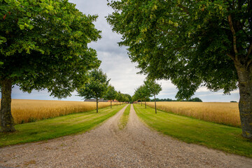 road in the countryside