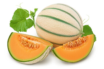 Cantaloupe melon isolated on white background with full depth of field,