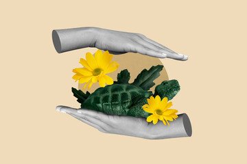 Creative collage image of human arms black white gamma hold protect little turtle flowers isolated on painted background - Powered by Adobe