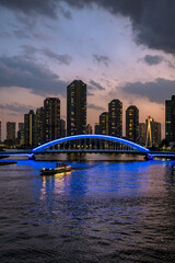 東京の風景：永代橋の夜景０２