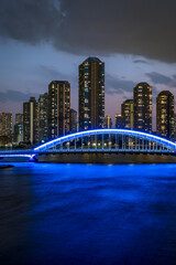 東京の風景：永代橋の夜景０１