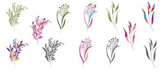 Modern set of abstract plant elements, minimal design, style and trend, vector illustration