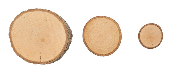 Three tree slices or tree discs with bark, isolated on black background