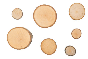 Tree slices or tree discs with bark, isolated on white background