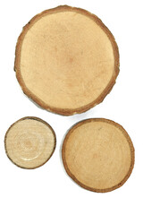 Three tree slices or tree discs with bark, isolated on white background