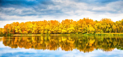 Autumn forest panorama on river with orange trees