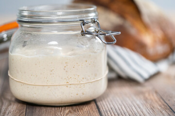 Sourdough starter