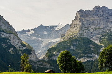 Grindelwald, Unterer Grindelwaldgletscher, Eiger, Eigernordwand, Schreckhorn, Alpen,...