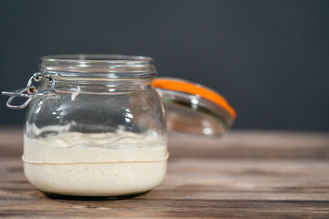 Sourdough starter