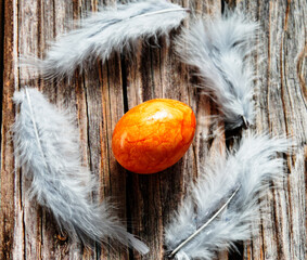 orange egg and white feathers on wooden background