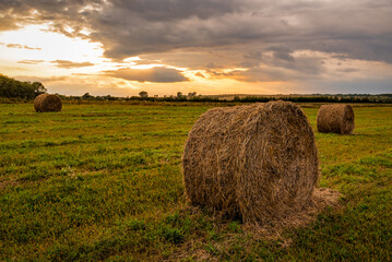 Hay bales on the field at sunset