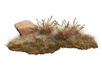 Autumn forest on a transparent background
