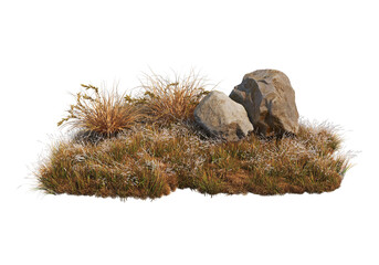 Autumn forest on a transparent background
