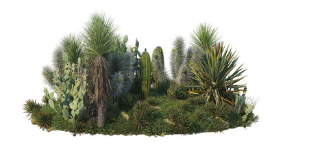Cactus garden on a transparent background  © jomphon