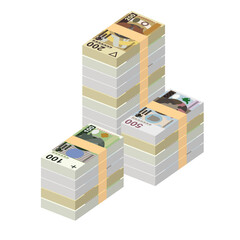 Polish Zloty Vector Illustration. Poland money set bundle banknotes. Paper money 50, 100, 200, 500 PLN. Flat style. Isolated on white background. Simple minimal design.