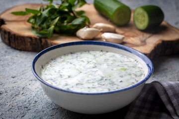 Traditional delicious appetizer; tzatziki (Turkish name; cacik)