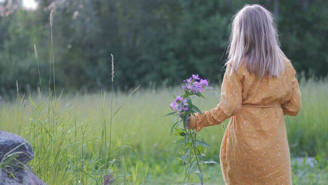 Scene of blonde little girl picking flowers in idyllic field, rear view, day