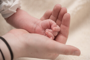 Familiar hands. Small newborn baby hand in big hand of parent.