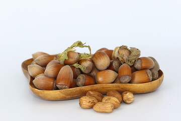 freshly harvested in shell whole hazelnuts