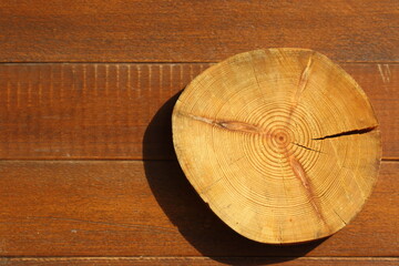 cross section of tree trunk on wood table