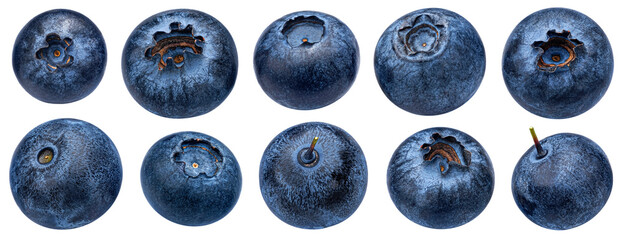 Blueberry isolated on white background with clipping path