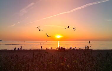    orange sunset air ball  on sky at sea seagull on sky people relax on beach summer background