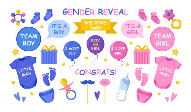 Cute gender reveal party elements vector illustrations set. Pink and blue baby shower elements for photo, card or invitation, rattles for boys and girls on white background. Family, childbirth concept