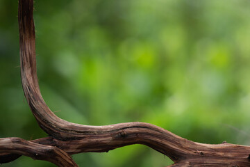 Old wood on bokeh nature background.