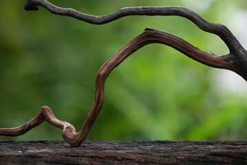 Old wood on bokeh nature background.
