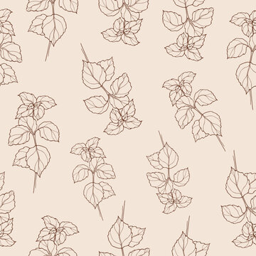 Hand drawn shiso plant seamless pattern