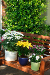 Fototapeta na wymiar Many different beautiful blooming plants in flowerpots on wooden bench outdoors