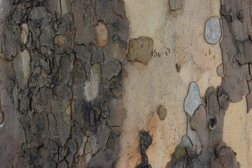 stone texture background