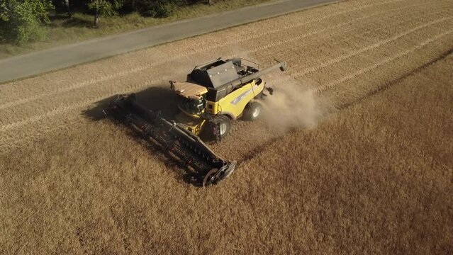 Wheat Harvesting with Combine Harvester Tractor in Agriculture Farm Field
