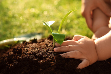 Mother and her child planting tree seedling into fertile soil, closeup